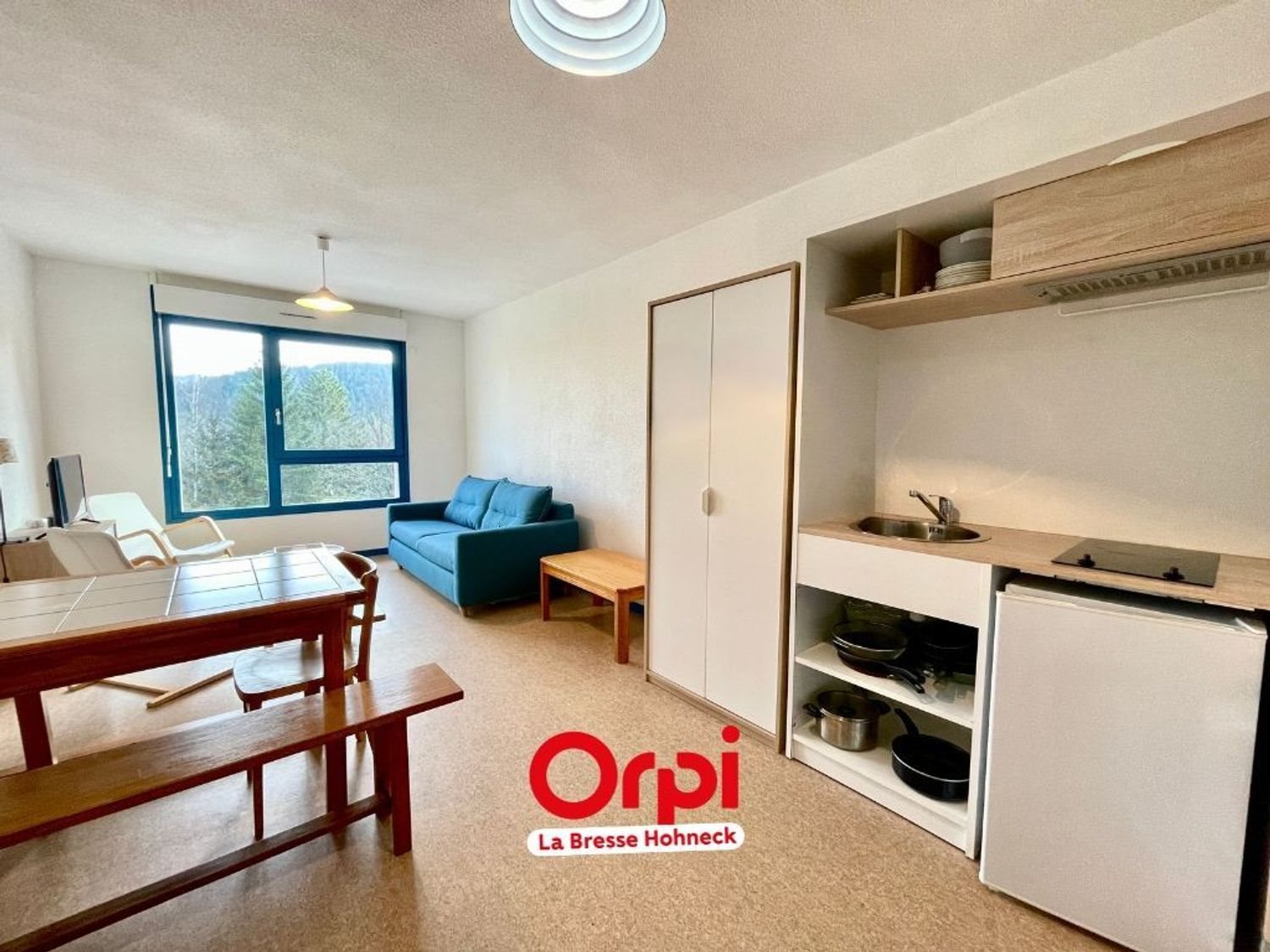 Appartement à vendre, 29m², Xonrupt-Longemer