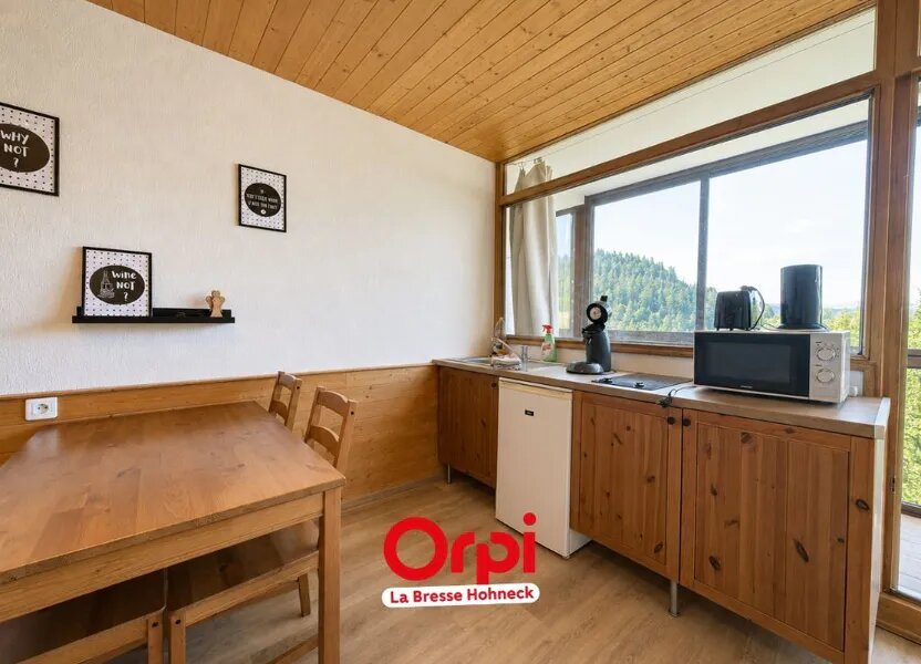 Appartement à vendre, 28m², La Bresse