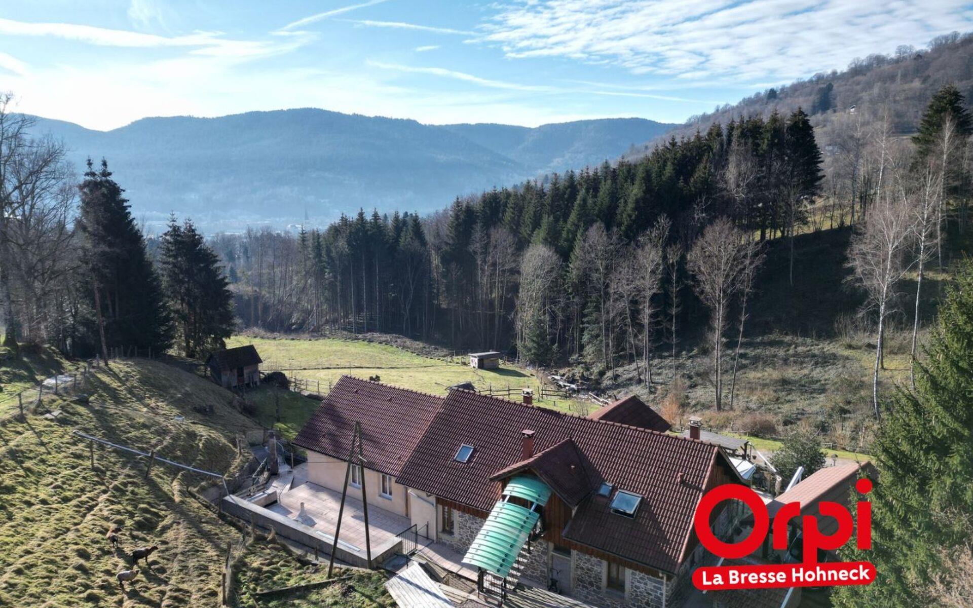 Maison à vendre, 750m², Saulxures-sur-Moselotte