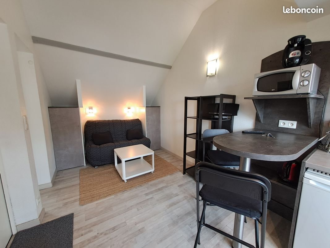 Appartement à louer, 15m², Tours