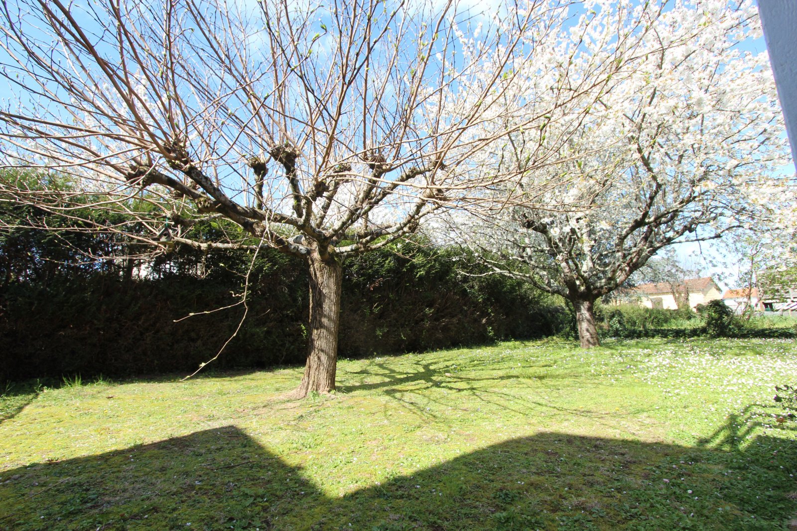 Maison à vendre, 107m², Niort