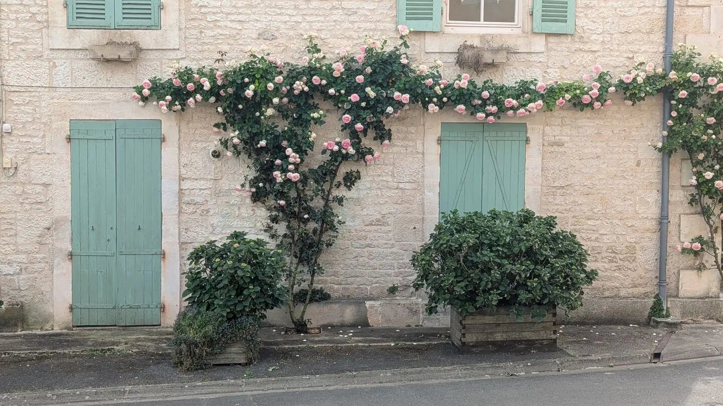 Maison à vendre, 164m², Magné