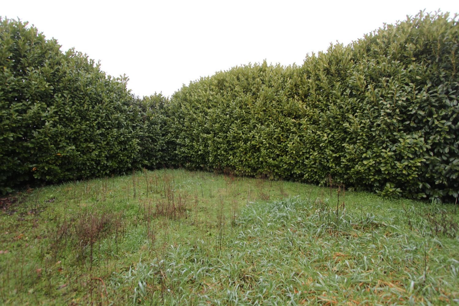 Maison à vendre, 100m², Chauray