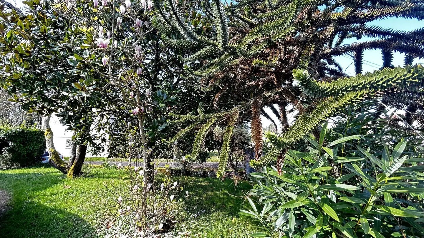 Maison à vendre, 236m², Bessines