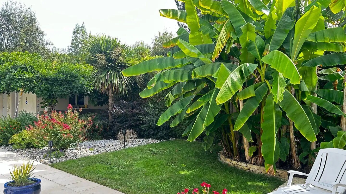 Maison à vendre, 255m², Magné