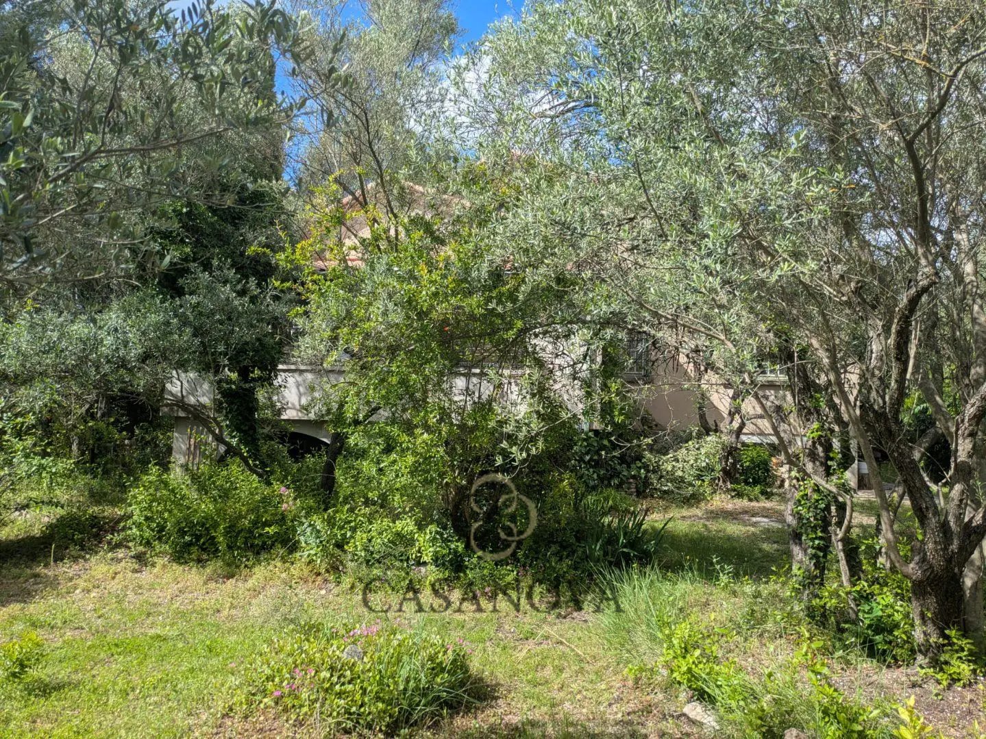Maison à vendre, 110m², Saint-Vincent-de-Barbeyrargues