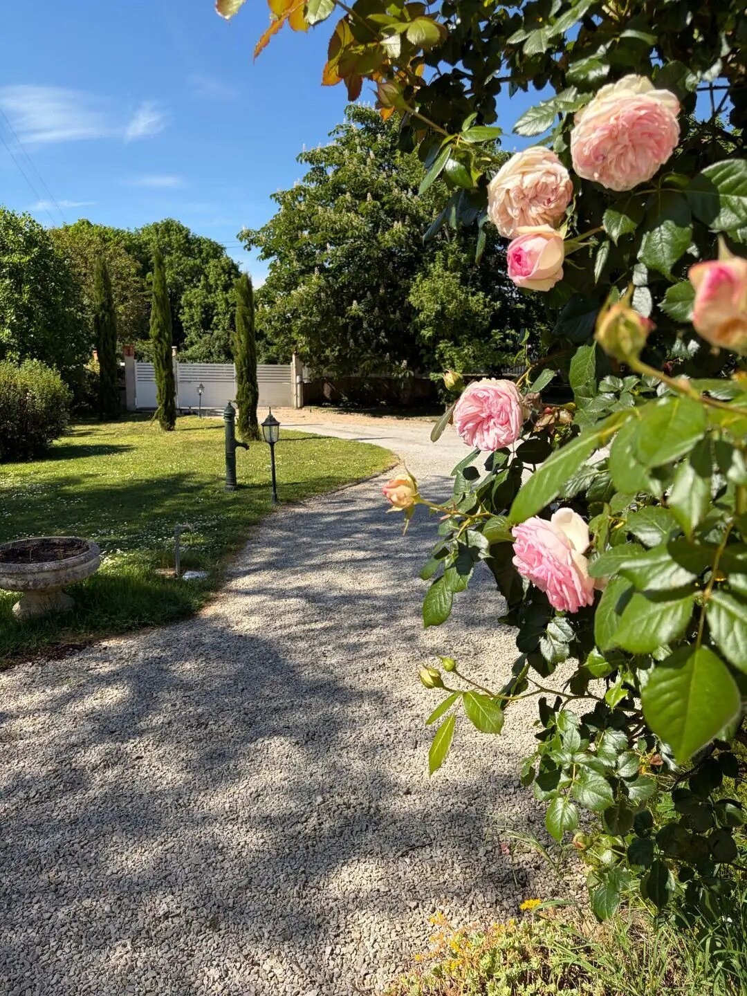 Maison à vendre, 173m², Brioux-sur-Boutonne