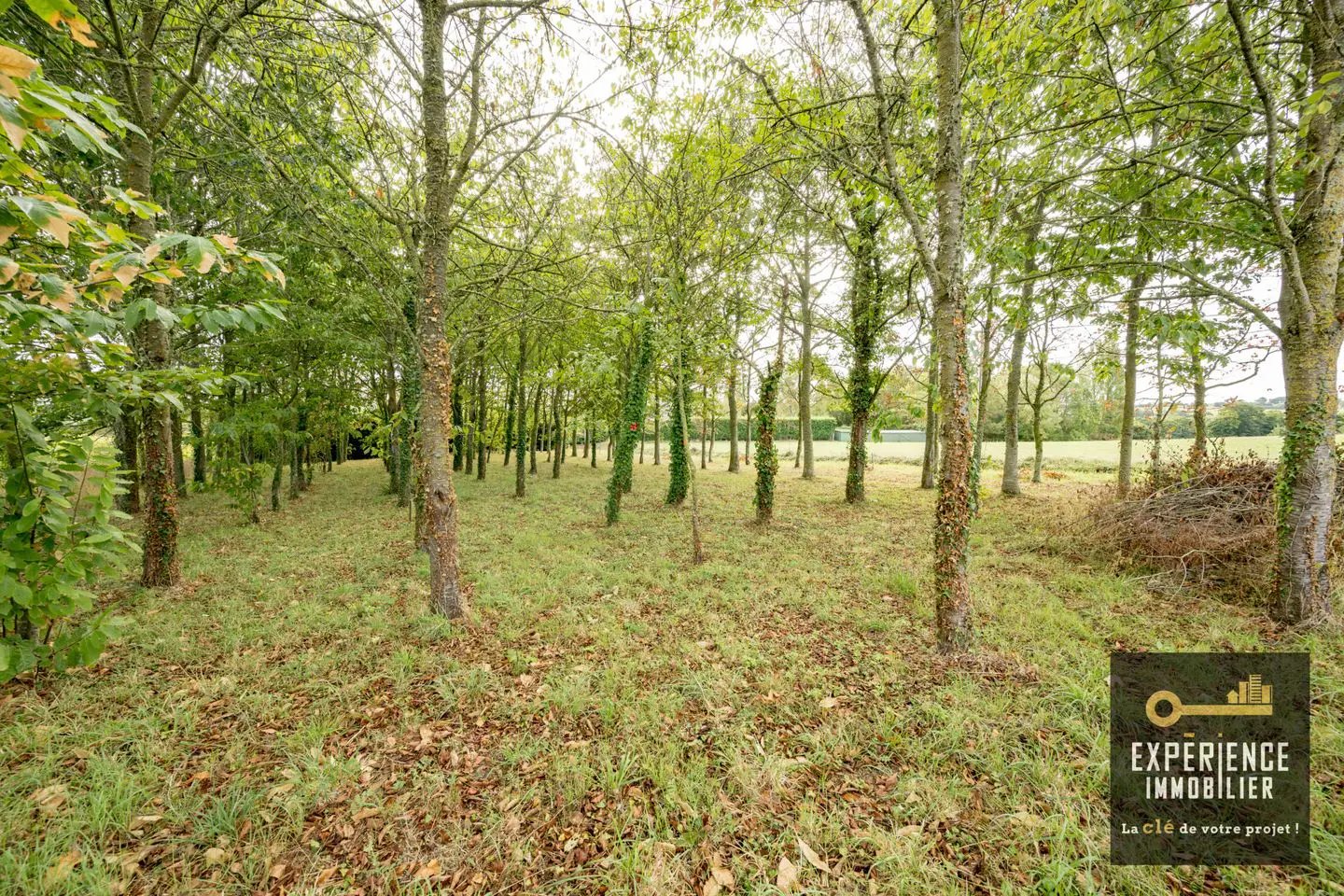 Maison à vendre, 77m², Yffiniac