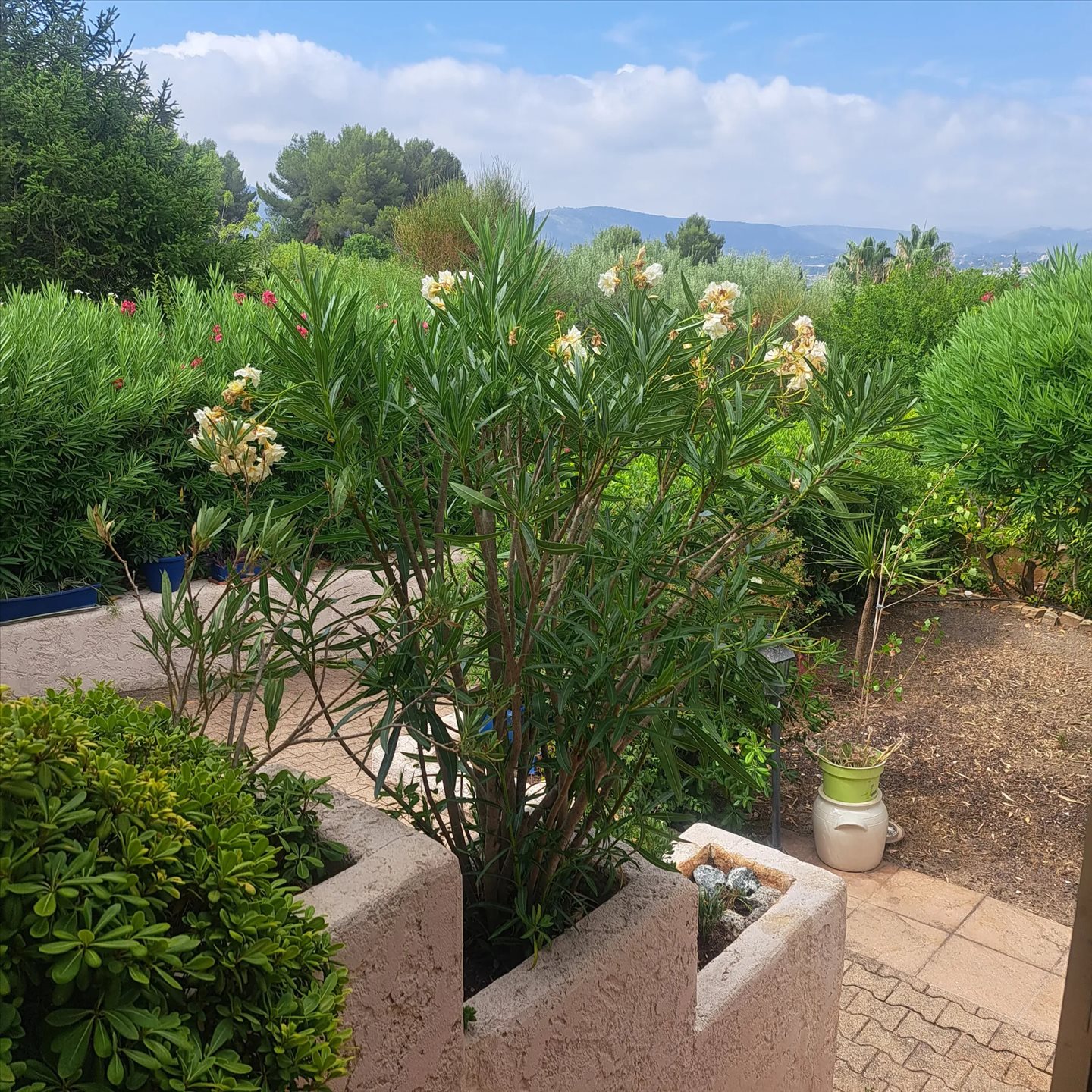 Maison à vendre, 85m², Gémenos
