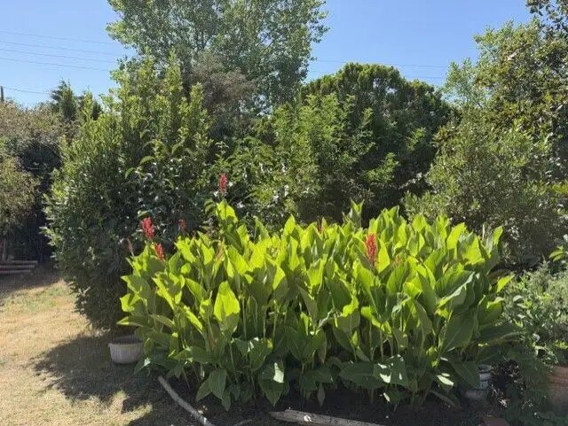 Maison à vendre, 153m², Machecoul