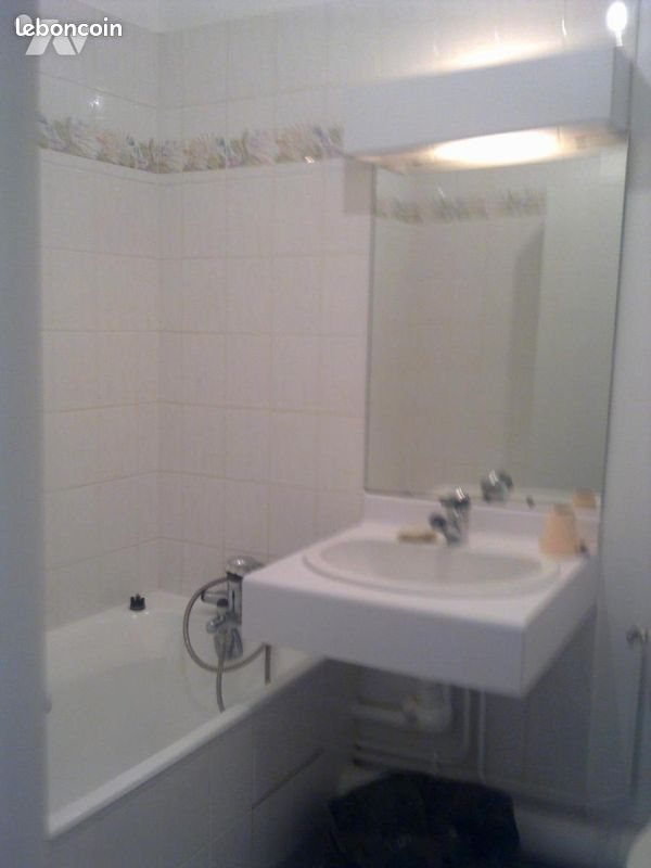 Appartement à louer, 18m², Vichy