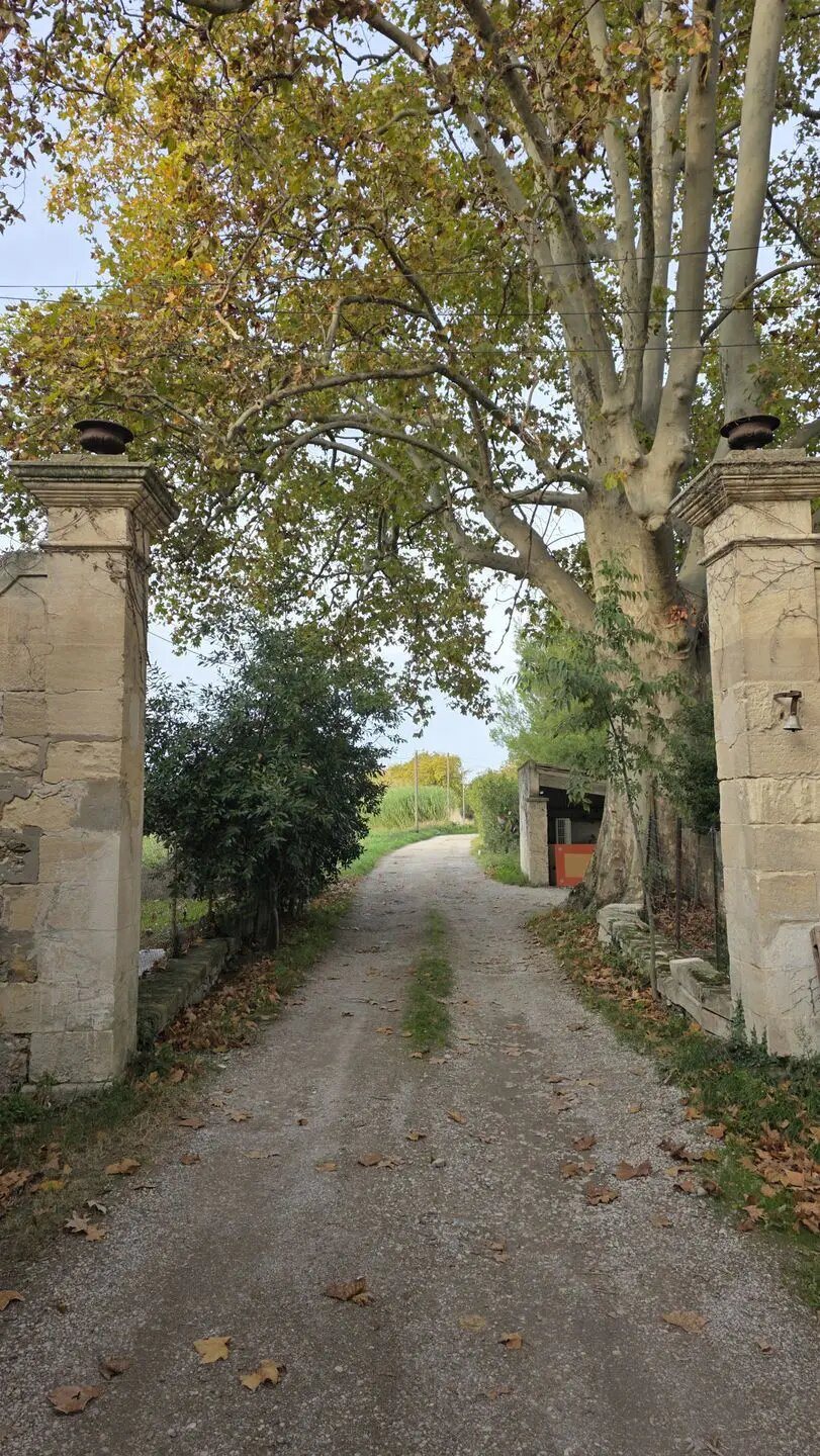 Maison à vendre, 190m², Arles