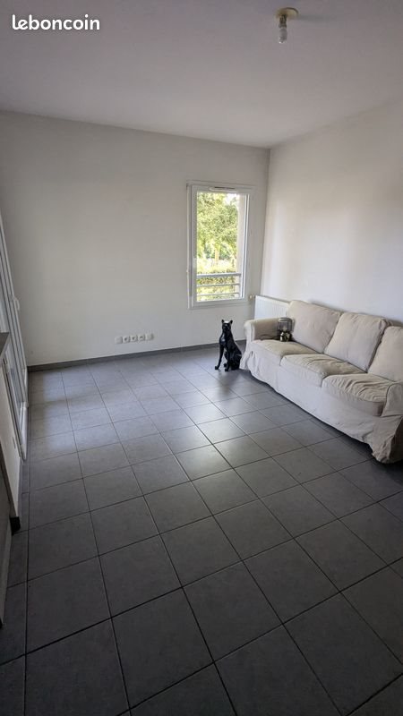 Appartement à louer, 67m², Floirac