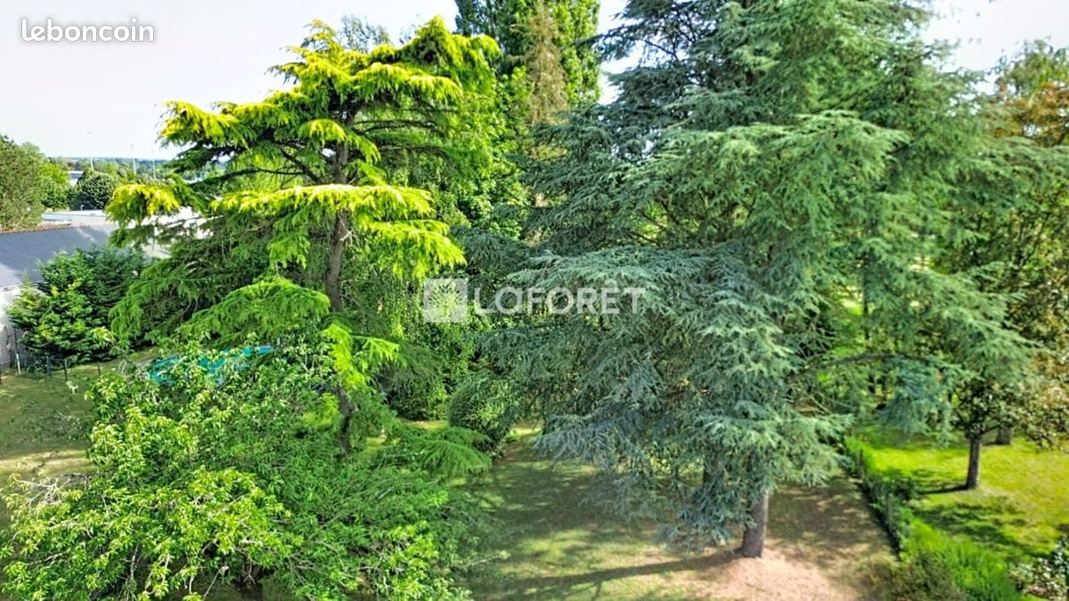 Maison à vendre, 229m², Doué-en-Anjou