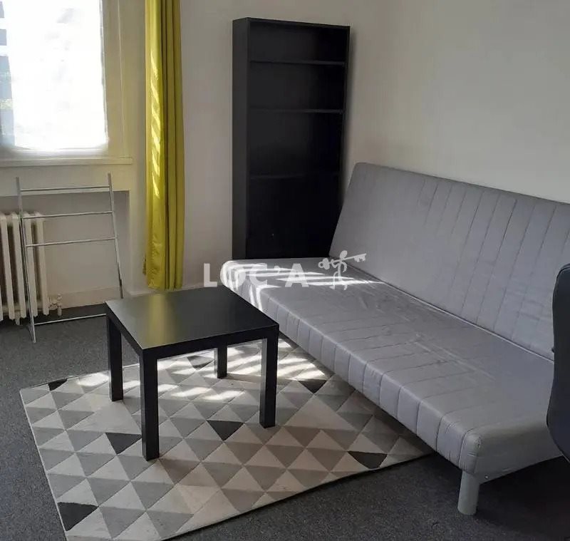 Appartement à louer, 15m², Oullins