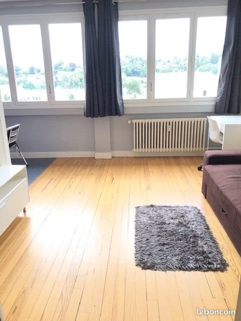 Appartement à louer, 26m², Saint-Etienne