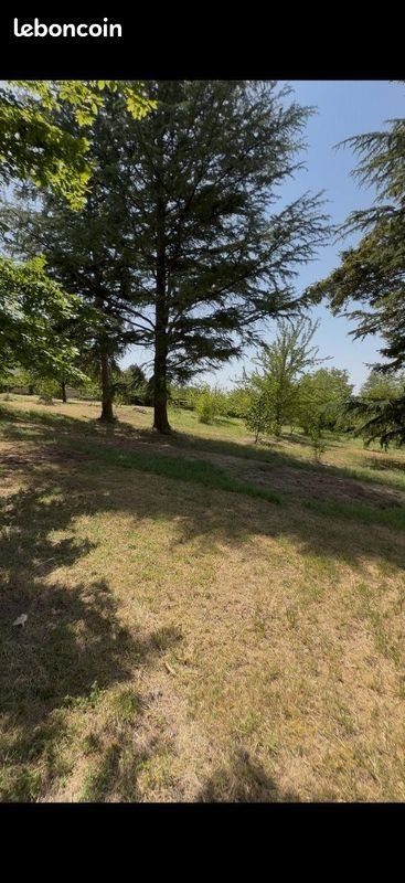 Maison à vendre, 218m², Huismes