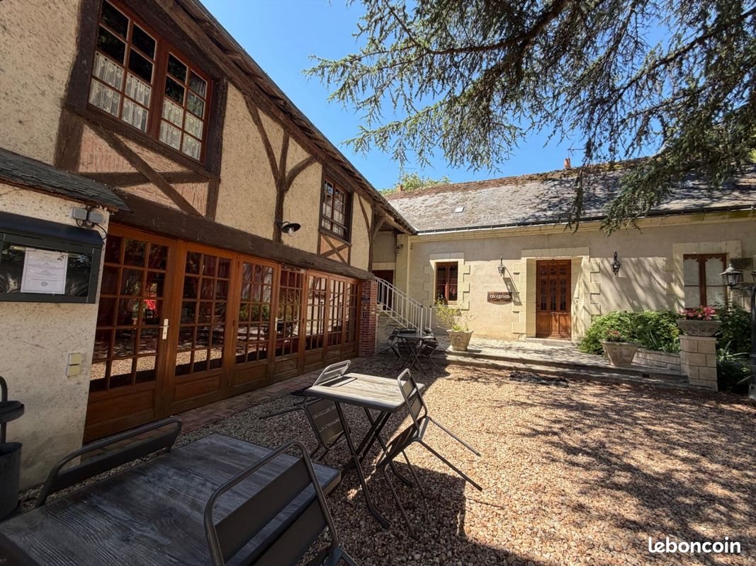 Maison à vendre, 1100m², Beaumont-en-Véron