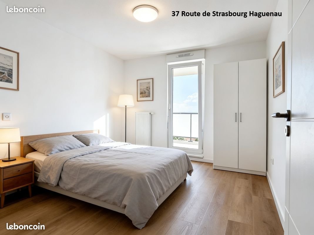 Appartement à louer, 54m², Haguenau
