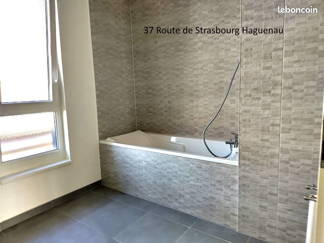Appartement à louer, 54m², Haguenau