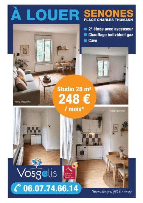 Appartement à louer, 28m², Senones