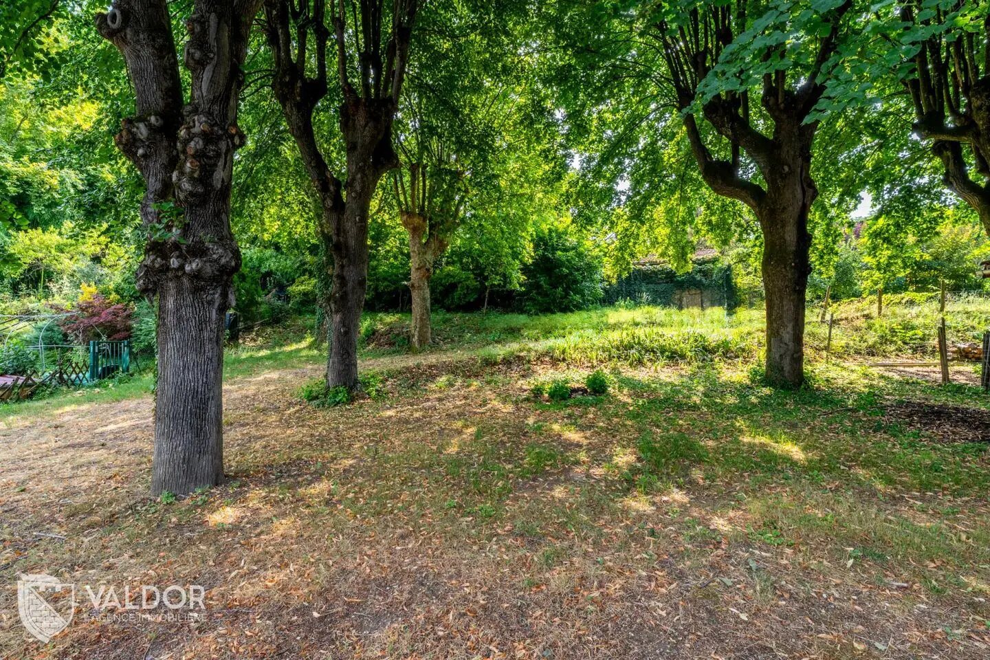 Maison à vendre, 271m², Jassans-Riottier