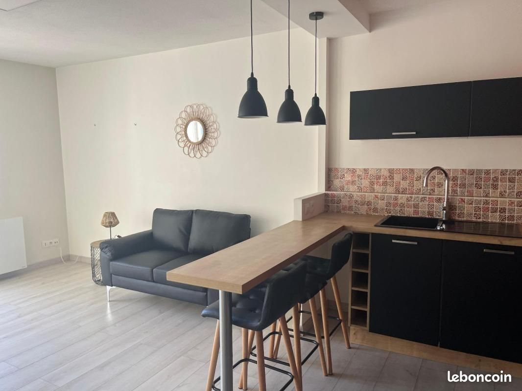 Appartement à louer, 50m², Angers