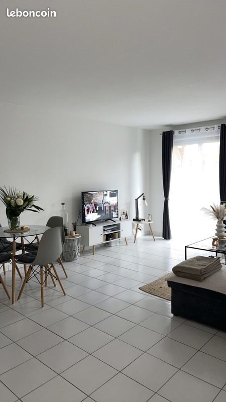 Appartement à louer, 50m², Albi