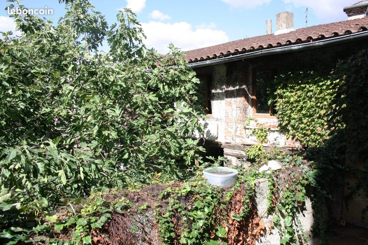 Maison à vendre, 236m², Graulhet