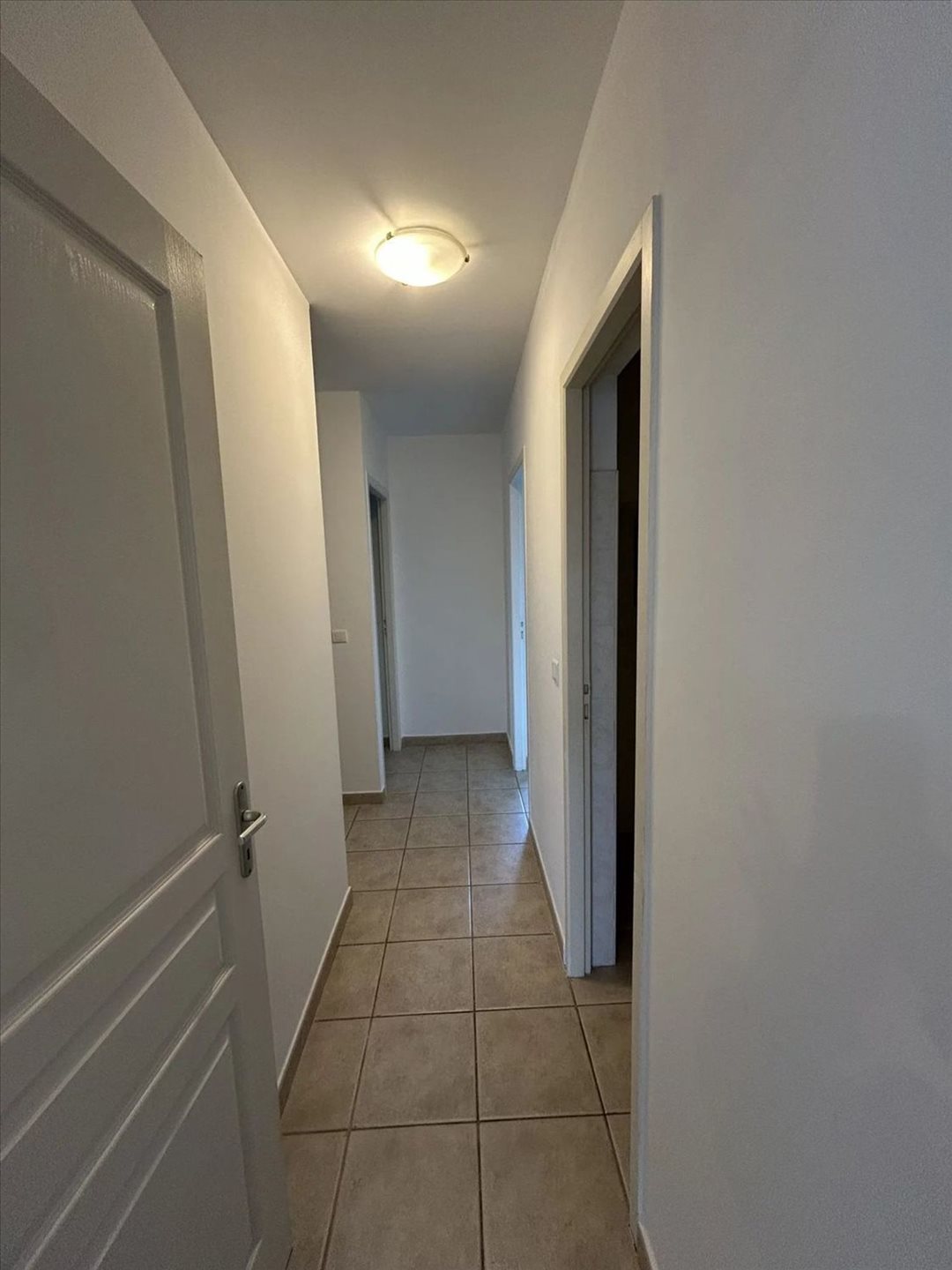 Appartement à louer, 50m², Sisco