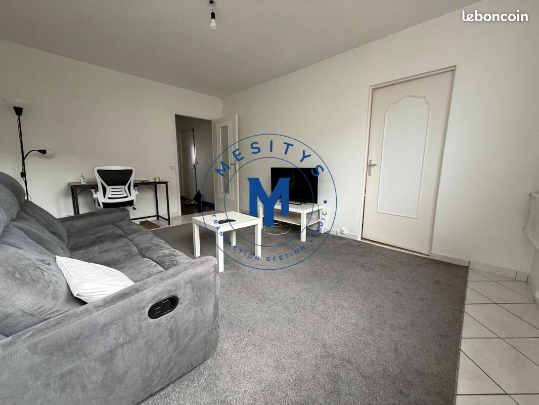 Appartement à louer, 46m², Saint-Etienne