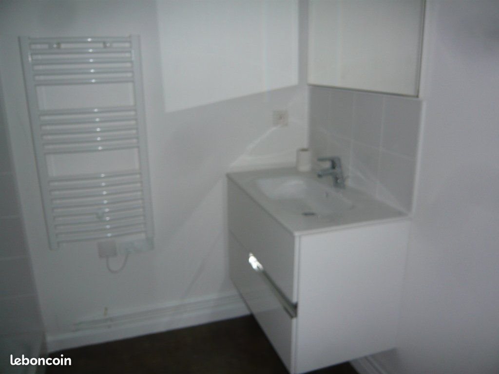 Appartement à louer, 29m², Saint-Etienne