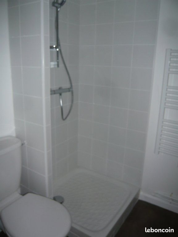 Appartement à louer, 29m², Saint-Etienne
