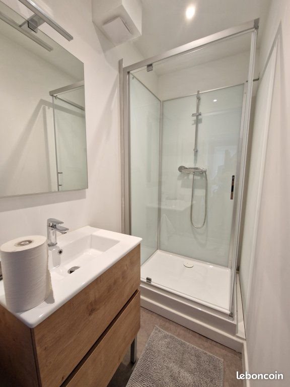 Appartement à louer, 41m², Saint-Étienne
