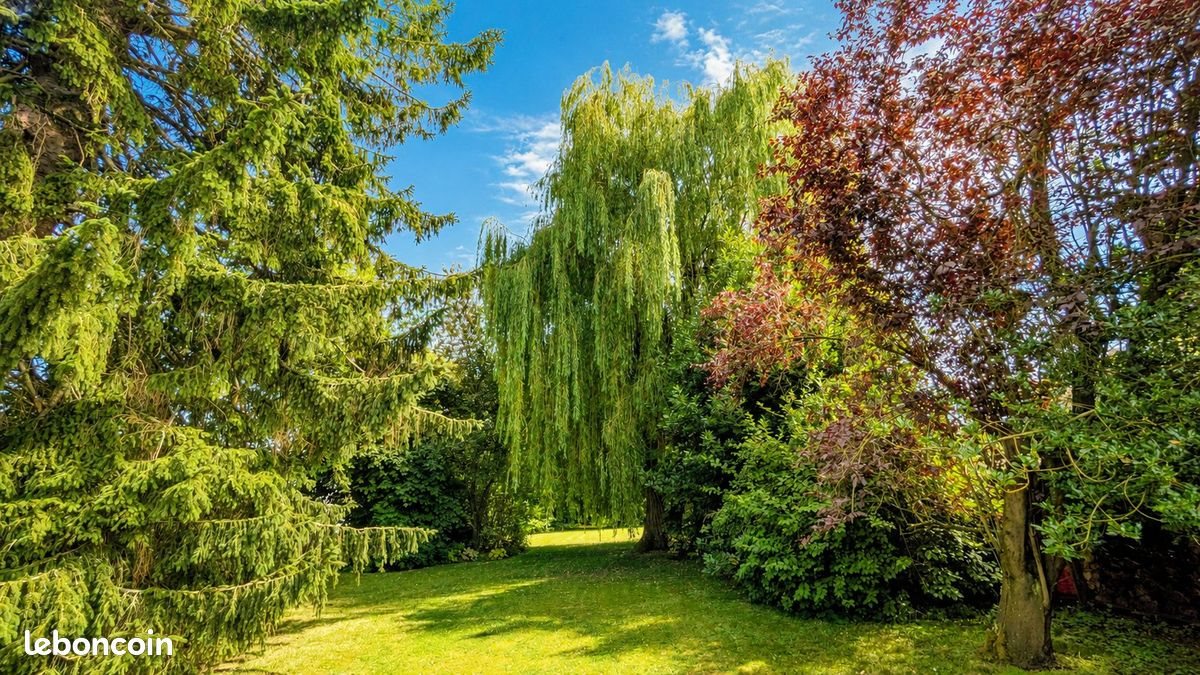 Maison à vendre, 195m², Leers