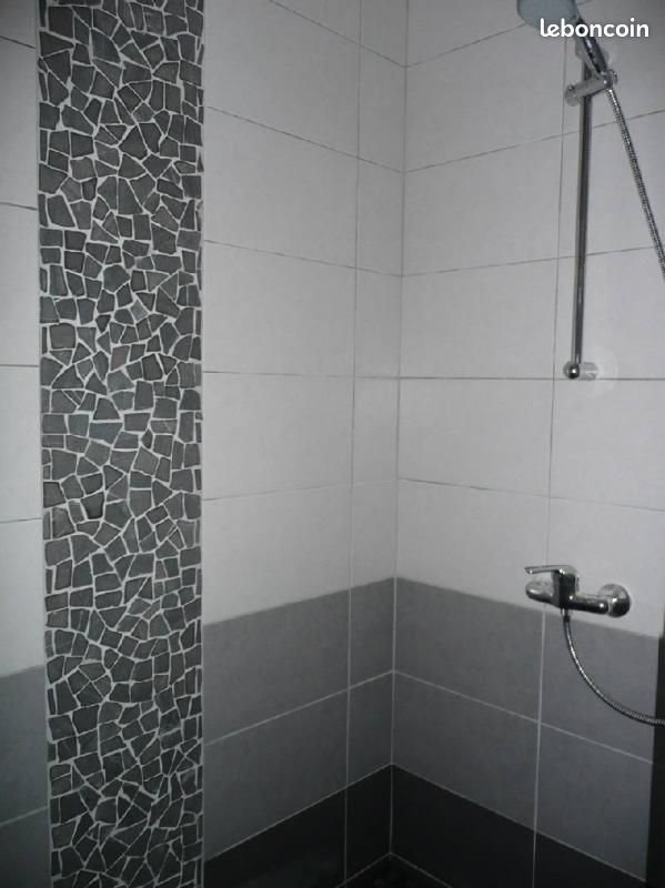 Appartement à louer, 44m², Belfort