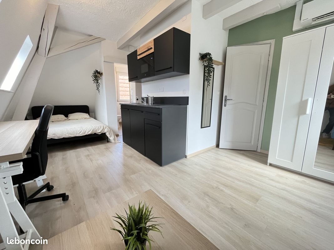 Appartement à vendre, 31m², Strasbourg