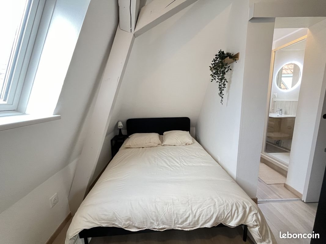 Appartement à vendre, 31m², Strasbourg