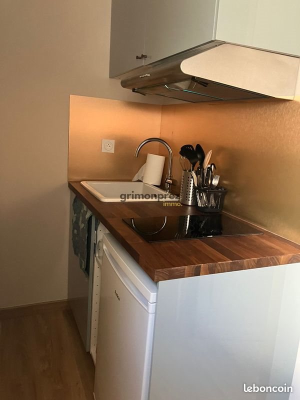 Appartement à louer, 15m², Roubaix