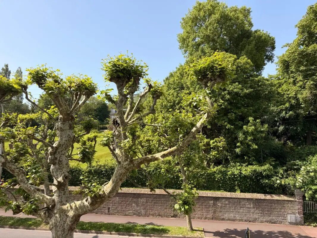 Appartement à vendre, 22m², Villers-sur-Mer