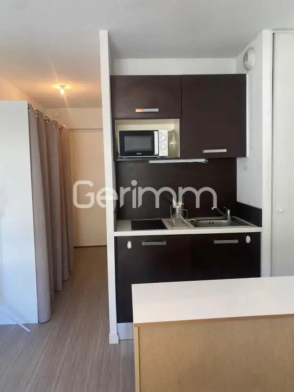 Appartement à louer, 18m², Saint-Martin-le-Vinoux