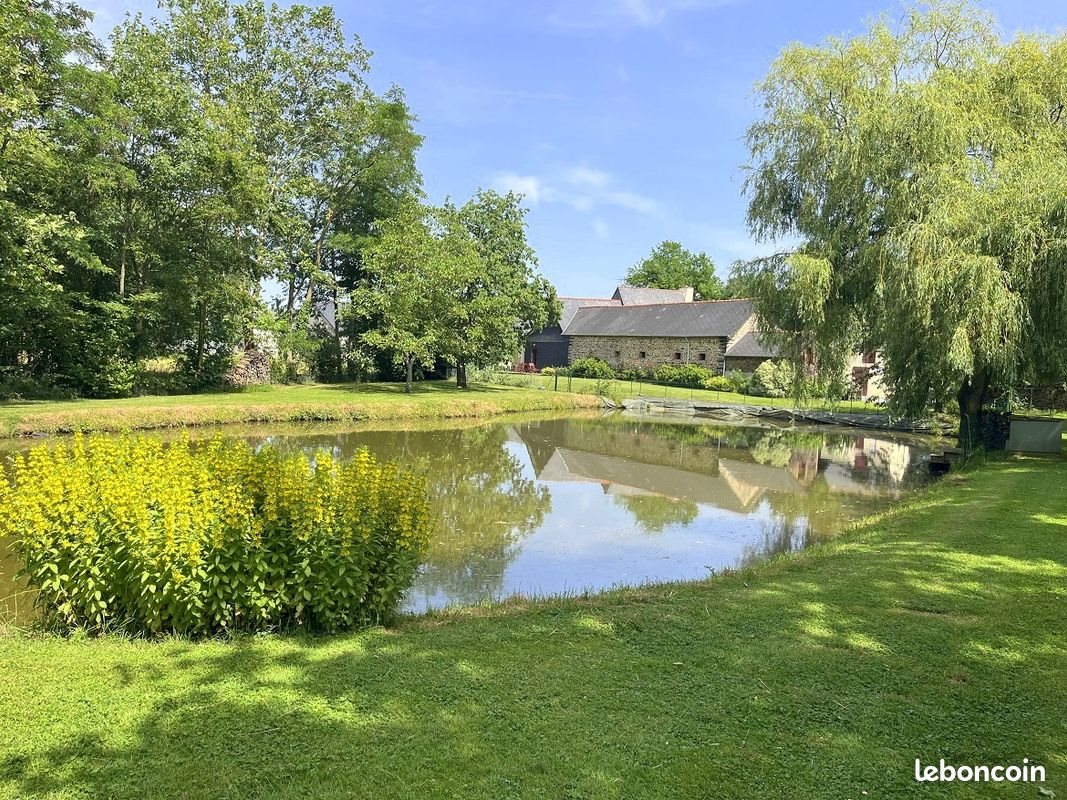Maison à vendre, 200m², La Guerche-de-Bretagne