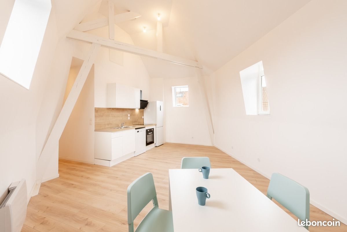 Appartement à louer, 56m², Tourcoing