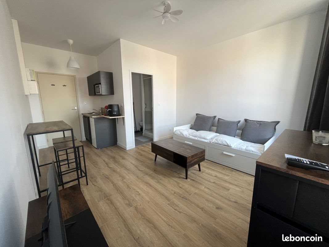 Appartement à louer, 19m², Saint-Etienne