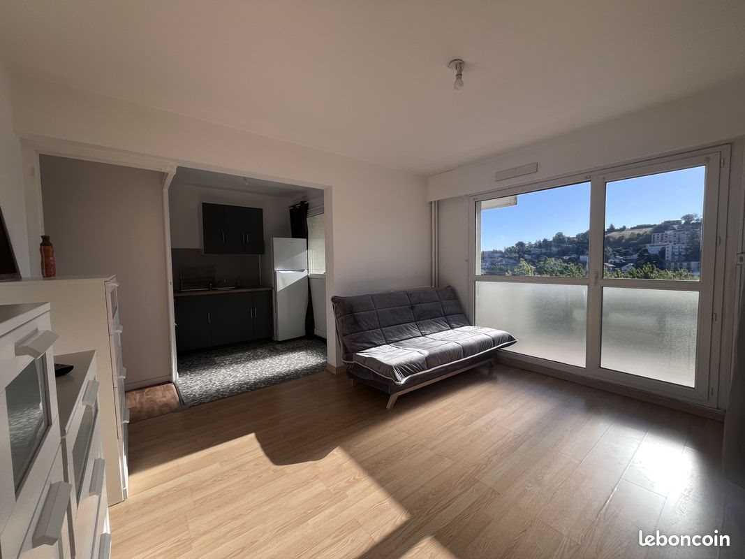 Appartement à louer, 26m², Saint-Étienne