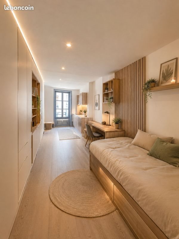 Appartement à vendre, 23m², Saint-Etienne