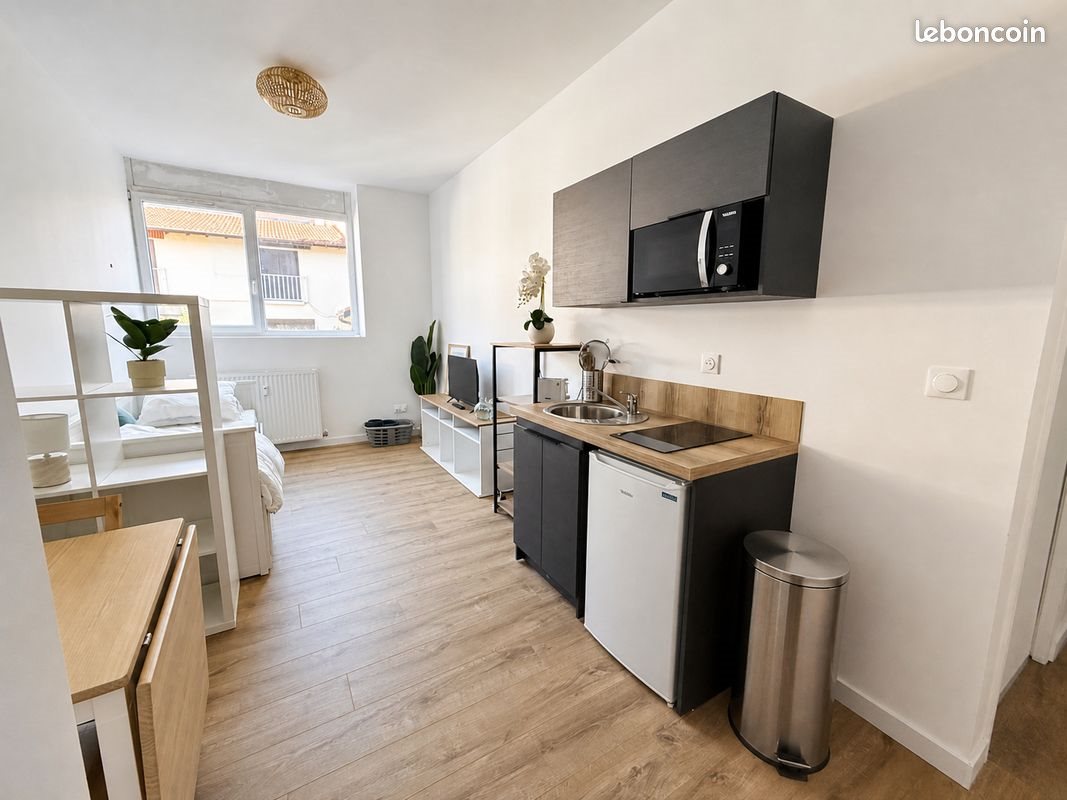Appartement à louer, 22m², Saint-Etienne