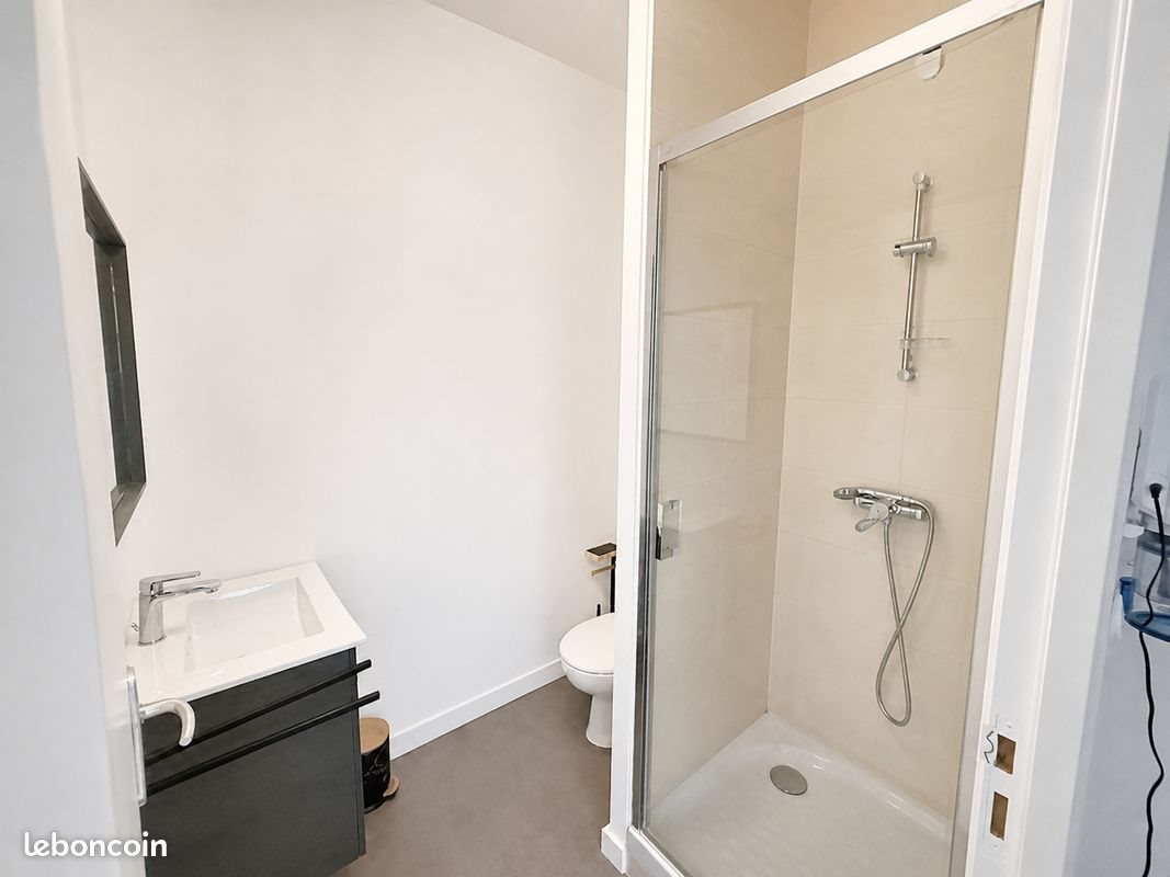 Appartement à louer, 22m², Saint-Etienne