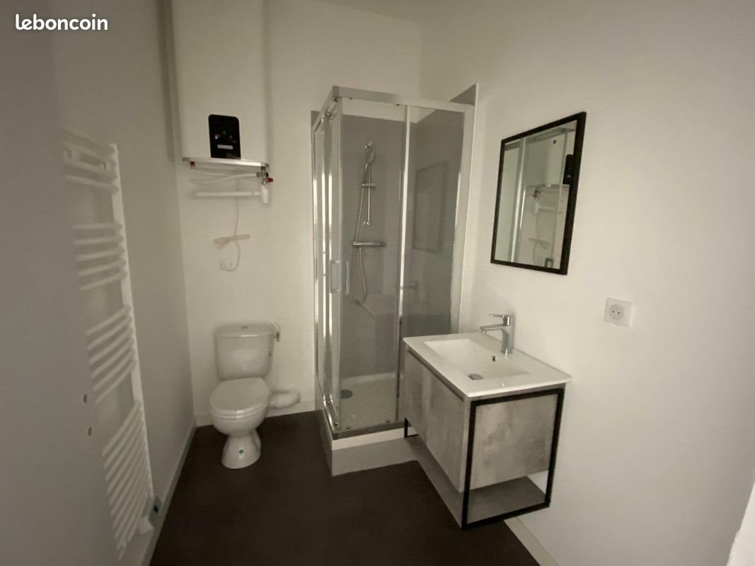 Appartement à louer, 29m², Saint-Etienne