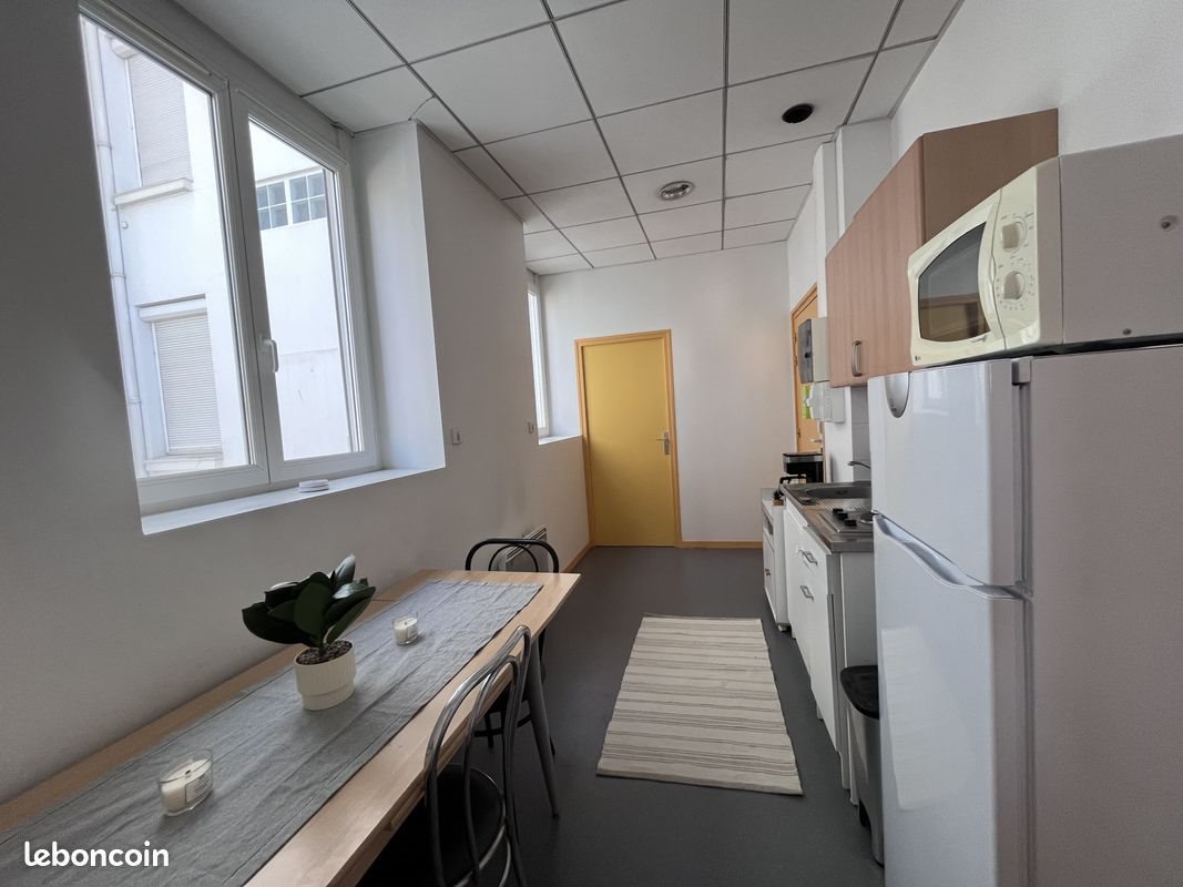 Appartement à louer, 27m², Saint-Etienne